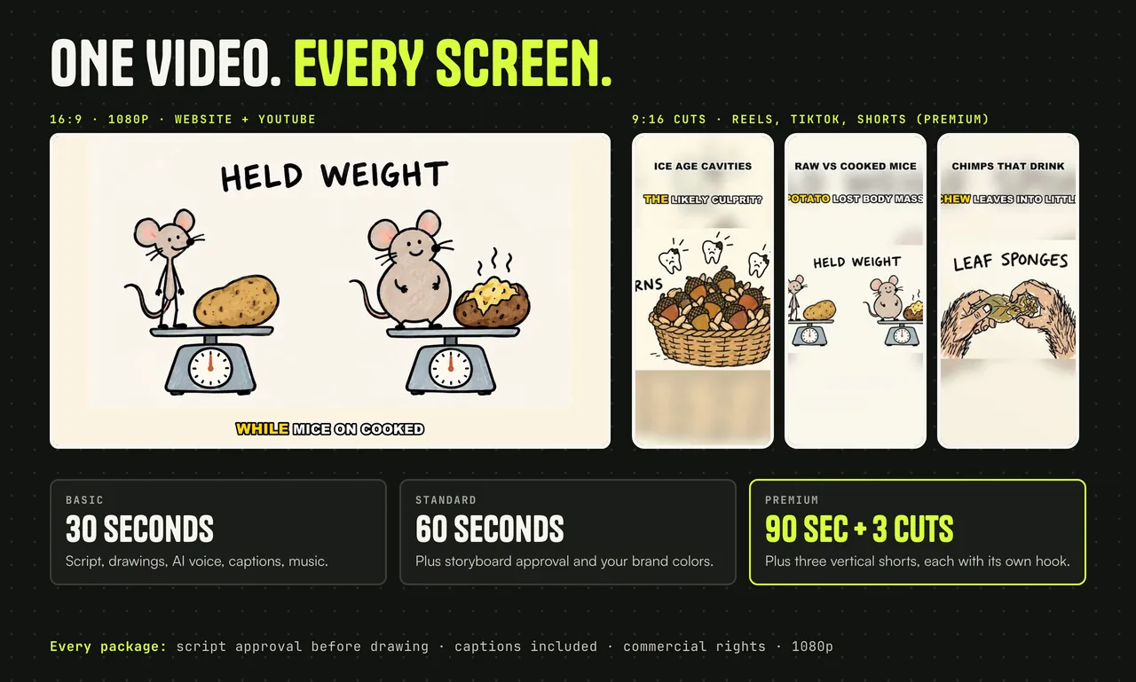 One video cut for every screen: 16:9 and vertical